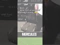Merc COULDNT BELIEVE HIS EYES😭