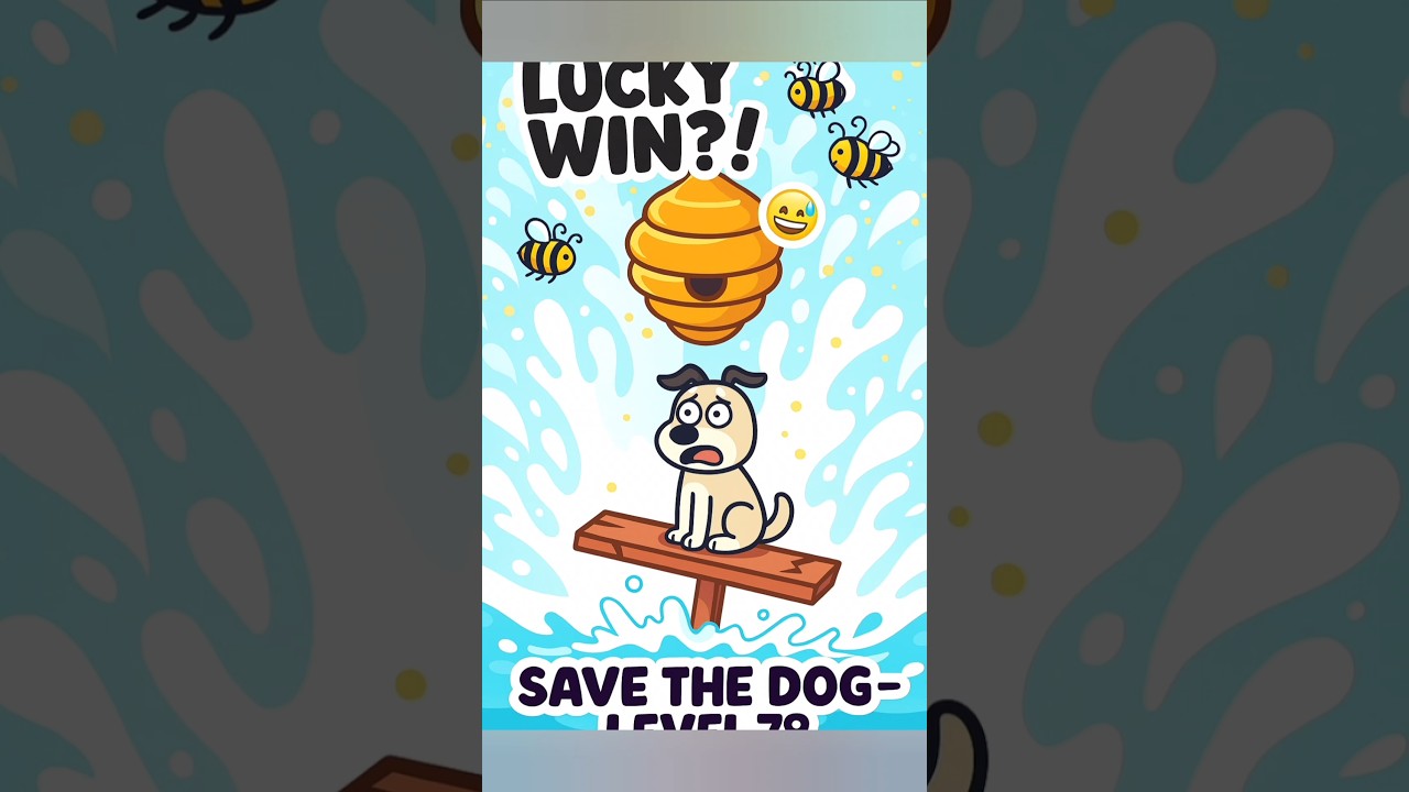 Lucky Win Without Even Noticing 😅 | Save the Dog Level 78 🐶💧 