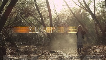 Filter "Surprise" Official Video Trailer