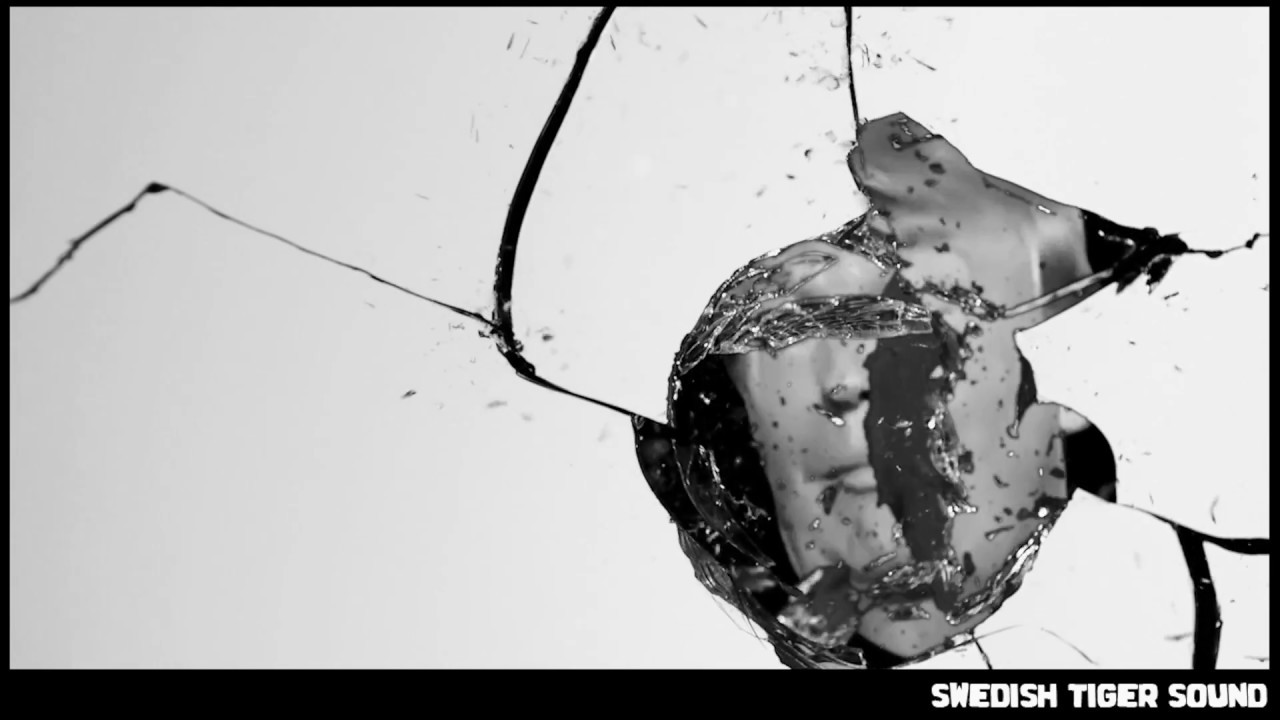 Swedish Tiger Sound feat  Gully Bop The Shitstem