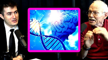 Neural networks: The evolution of intelligence | Jay McClelland and Lex Fridman