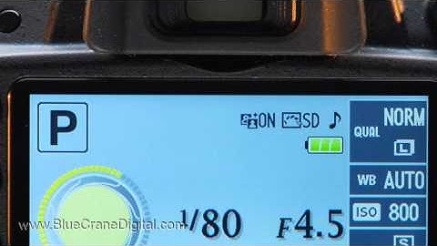 Introduction to the Nikon D3200: Basic Controls