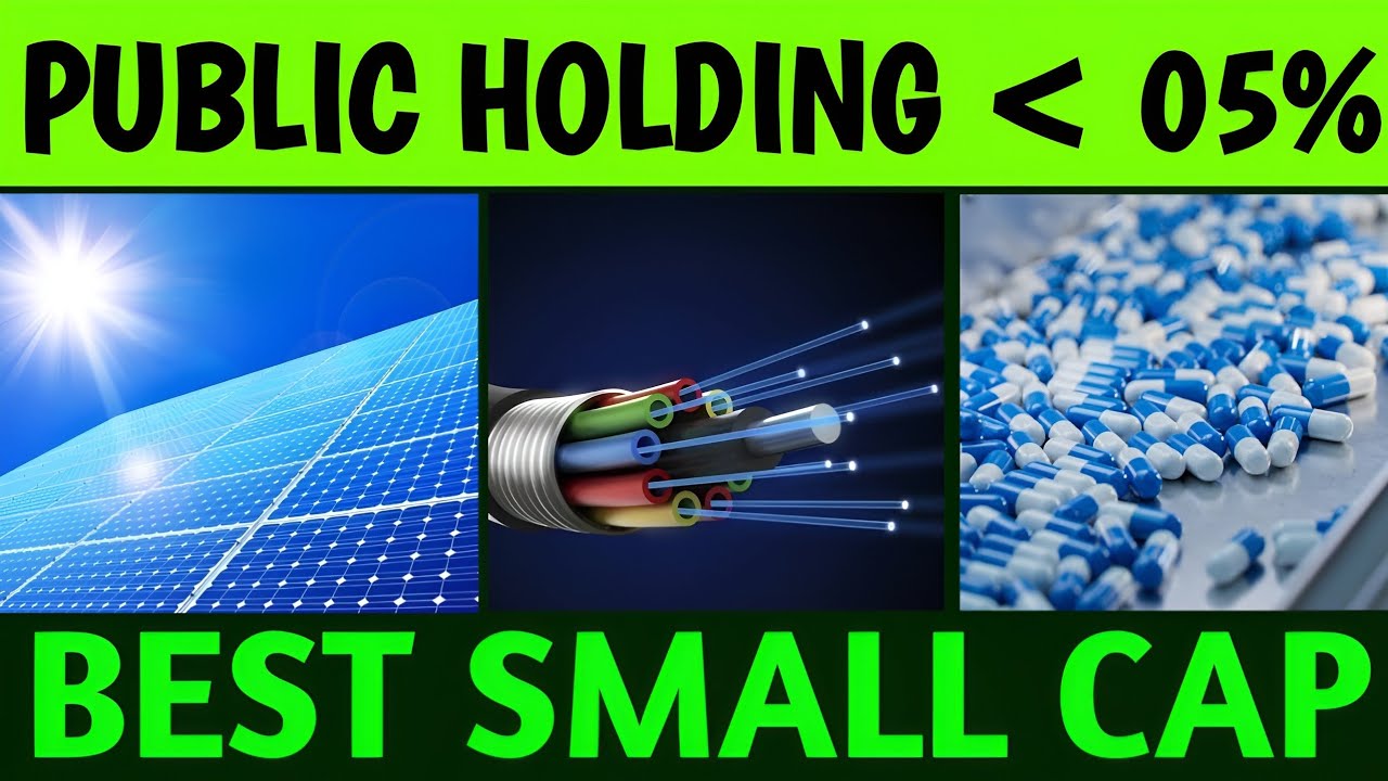 Best 07 Small Cap Stocks Where Public Holdings is Less Than 05% | Best Small Cap Stocks |