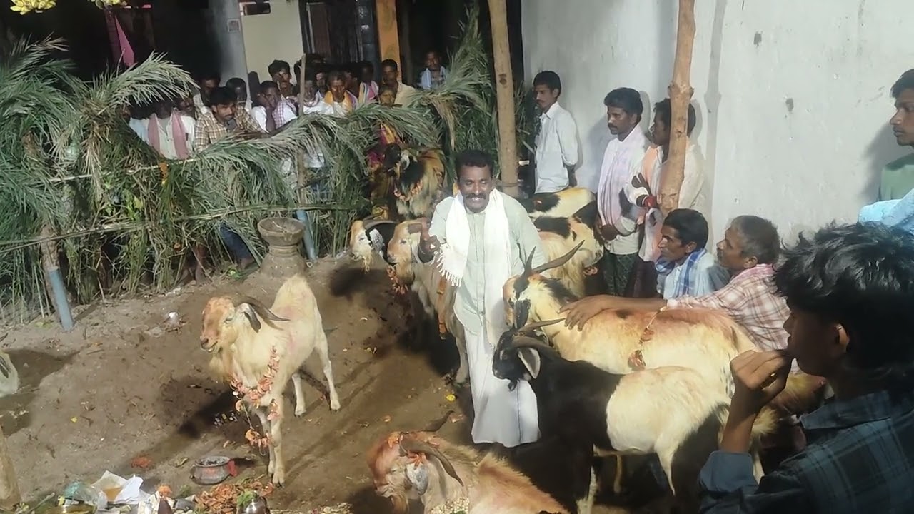 Dalappadu guru 7660956024