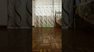 2 may leg spin tutorial with Tima rubber wind ball #Tima Leg Spin