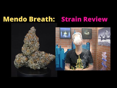 Mendo Breath Strain Review