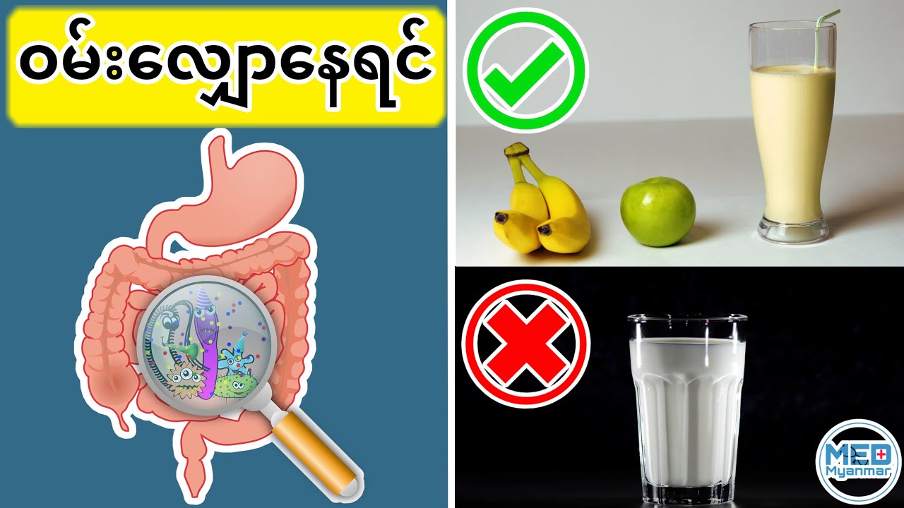 မှားတတ်ကြတဲ့ ဝမ်းလျှောနေရင် စားသင့်တာနဲ့ရှောင်သင့်တဲ့ အစားအသောက်များ