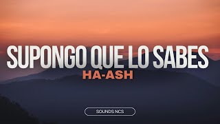HA-ASH - Supongo Que Lo Sabes (LETRA)