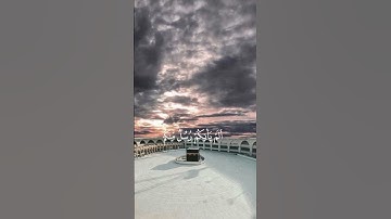 سورة الزمر {الآية 71} بصوت الشيخ ياسر الدوسري ❤️💖