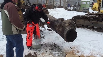 Stihl and Echo Chainsaw Review- Which is Better?