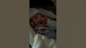 يا بني أقم الصلاة - من سورة لقمان | قناة الفردوس الأعلى