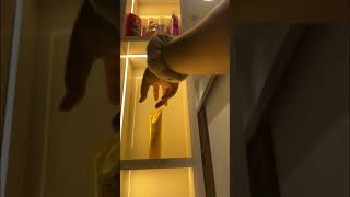 ASMR Rearranging