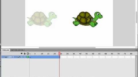 WhatIs? Key Frames and Tweens
