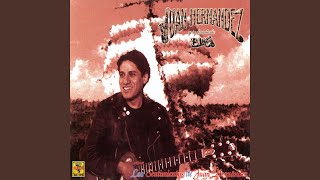 Video thumbnail of "Juan Hernández y Su Banda de Blues - Vuela Libre"