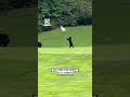 Bear cubs play capture the flag on golf course ⛳️🐻         🎥: Arden Botha via ViralHog