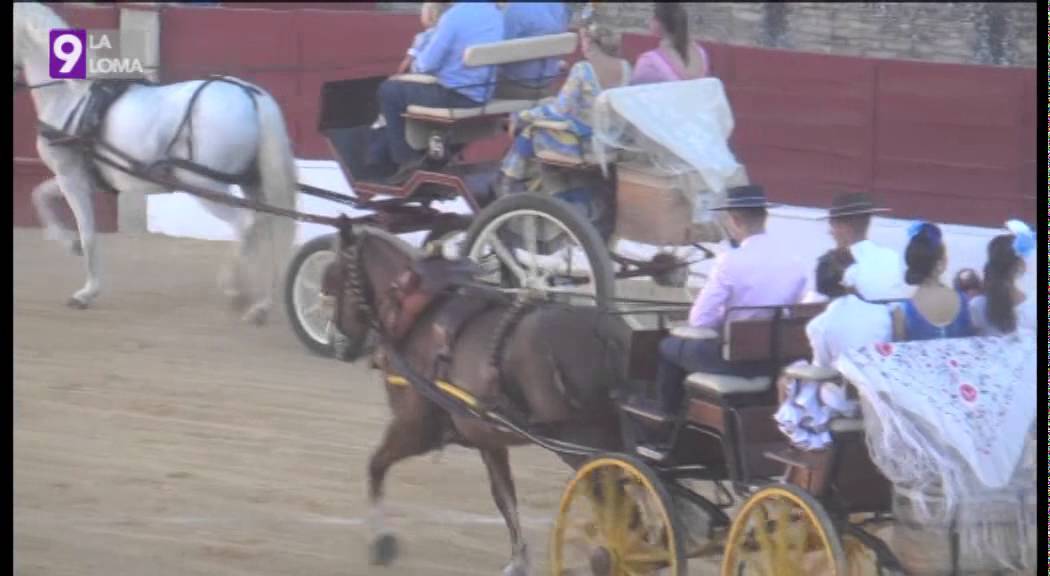 Feria de Baeza 2015 · X Exhibición de enganches de Baeza