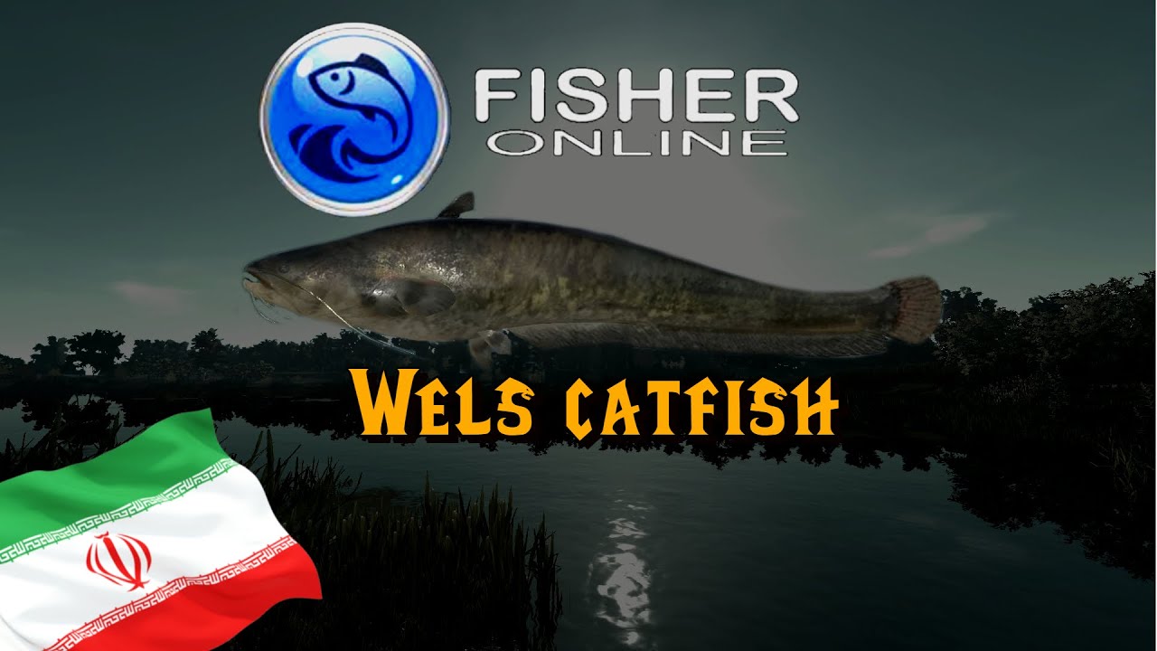 Fisher Online -- WELS CATFISH -- Iran Caspian Sea