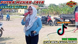 VIRAL DI TIKTOK || PENGEN NDUENI‼️VOC WIDIA | SINGA DANGDUT PUTRA MEKAR JAYA | LIVE DESA KALIPASUNG