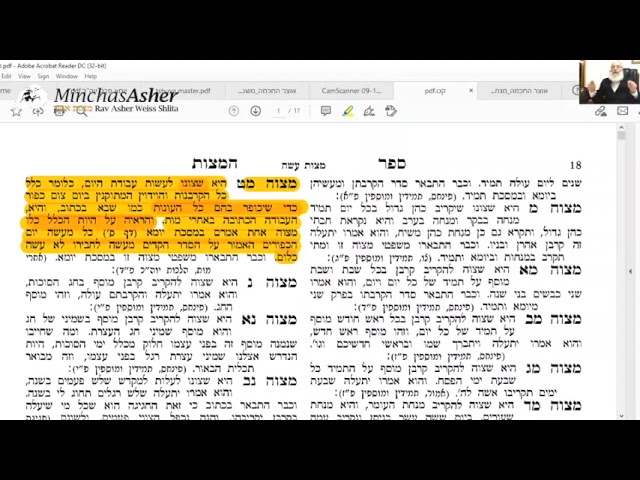 Avodas Yom Hakippurim: The Se'ir HaMishtaleiach | Shiur by Rav Asher Weiss Shlit"a | 5782