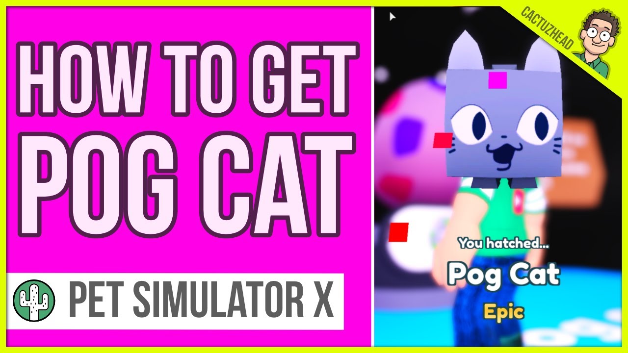 Pog Cat How to get POG PETS Pet Simulator X Roblox YouTube