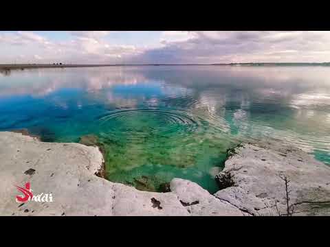 حنيتلك بالحلم حنيت وأريدك تحن