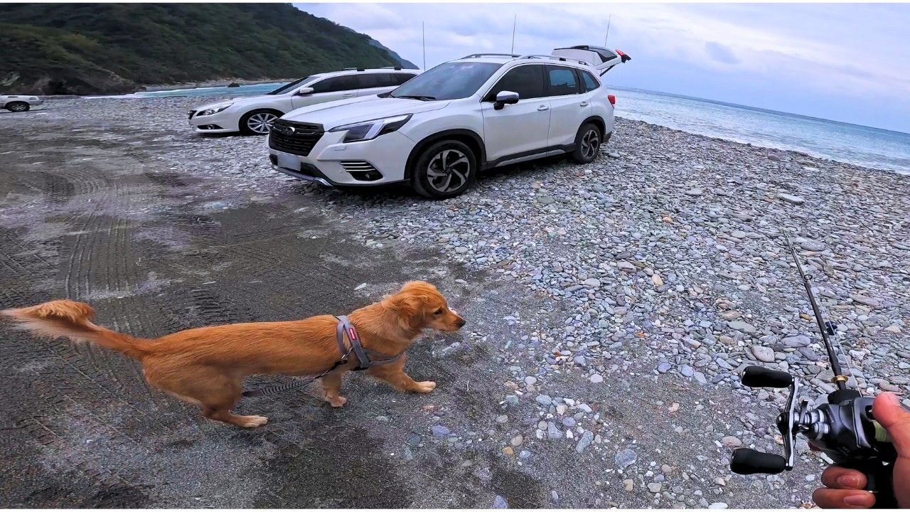 Taiwan Beach Fishing【宜蘭 東澳】釣魚 #東澳沙灘  #路亞 #岸抛 #shorejigging #釣魚 #taiwanfishing #yılan