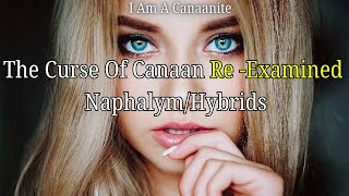 The Canaanite Documentary  | Recap