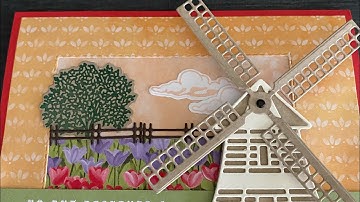 Tulip Fields & Flowering Tulips SU