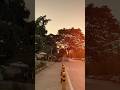 #song