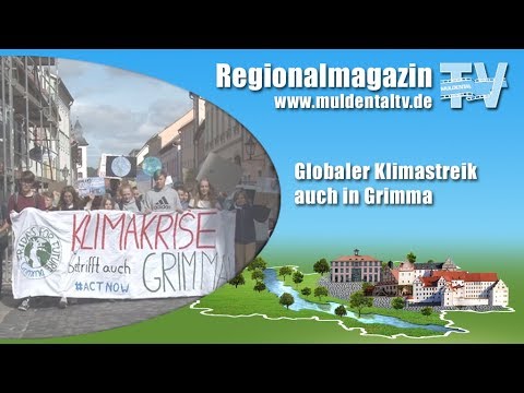 Fridays for Future Grimma nimmt am Globalen Klimastreik teil