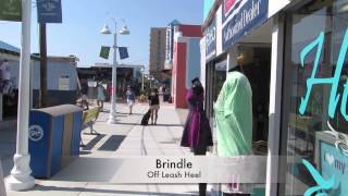 Brindle 12 Month Old Pit Bullboxer Before And After Video 2 Week Board And Train