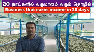 Within 20 days more income from Sericulture | Highly Profitable Sericulture Business