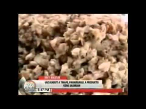 mushroom bread of malusac sasmuan pampanga youtube