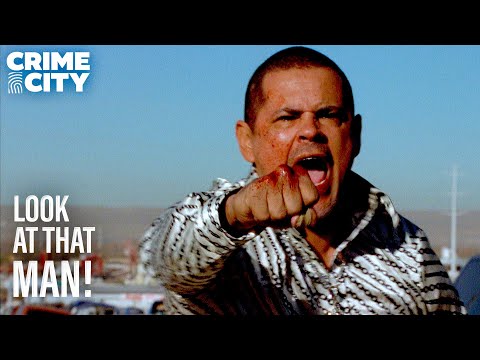 Tuco Goes Bezerk | Breaking Bad (Bryan Cranston, Aaron Paul)