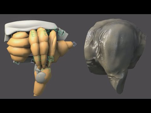 3ds Max. Skin jiggling and deformation with CAT Muscles.