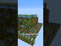 The Most Broken Kelp Farm on DonutSMP!