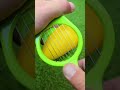 Plastic Toy Fruit Cutting