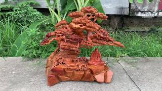 Cây Tùng bonsai và Cụ đạt ma ngồi thiền dưới gốc tùng gỗ hương.lh 0389889968(Zalo)