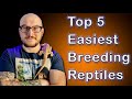 Top 5 EASIEST Reptiles To Breed | But You Probably Shouldn't...