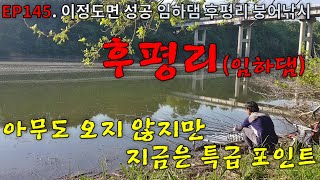 EP145. 이정도면 성공 | 아무도 찾지 않지만 | 지금은 특급포인트 | 임하댐 | 후평리 | 붕어낚시 | Crucian Carp Fishing