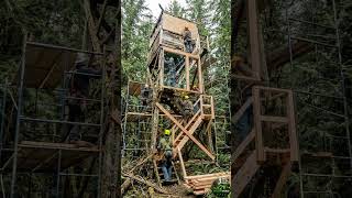 This Tower Is a Hidden Home 😳