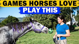 How to Play with a horse - 15 Games to Play with your Horse screenshot 2