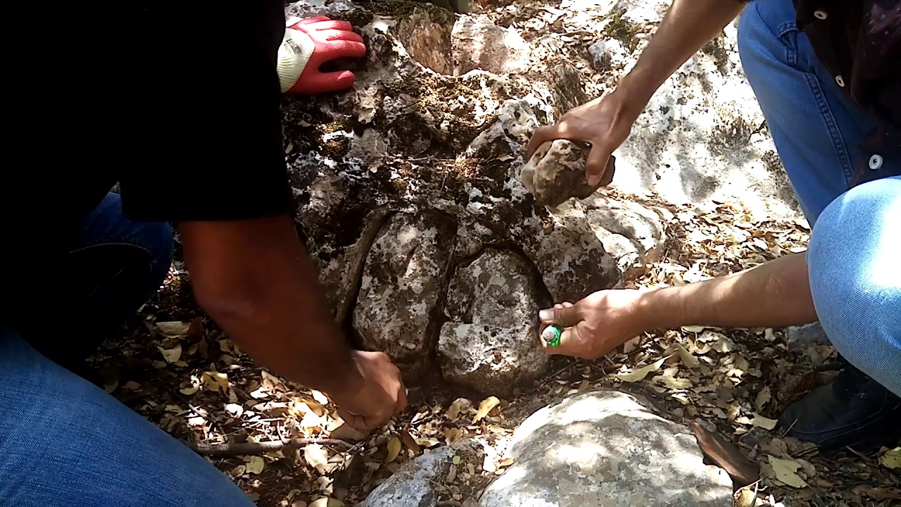 ران مال حفر مباشر وموقع خرافي شوفوا شو صار ران المال وسدايه بوابه صحيحه حفر مباشر