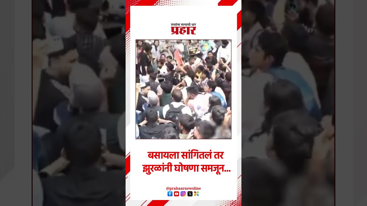 बसायला सांगितलं तर झुरळांनी घोषणा समजून...