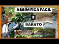 Dicas Para Criação de Peixes em Tanque de Ferrocimento