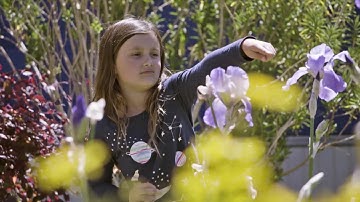 Help our pollinators with The Great Sunflower Project