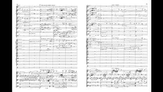 Franz Schmidt - Symphony no 1 1899