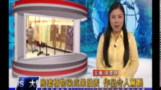 11051108【大新店地方新聞】烏塗植物染成果發表 作品令人驚艷