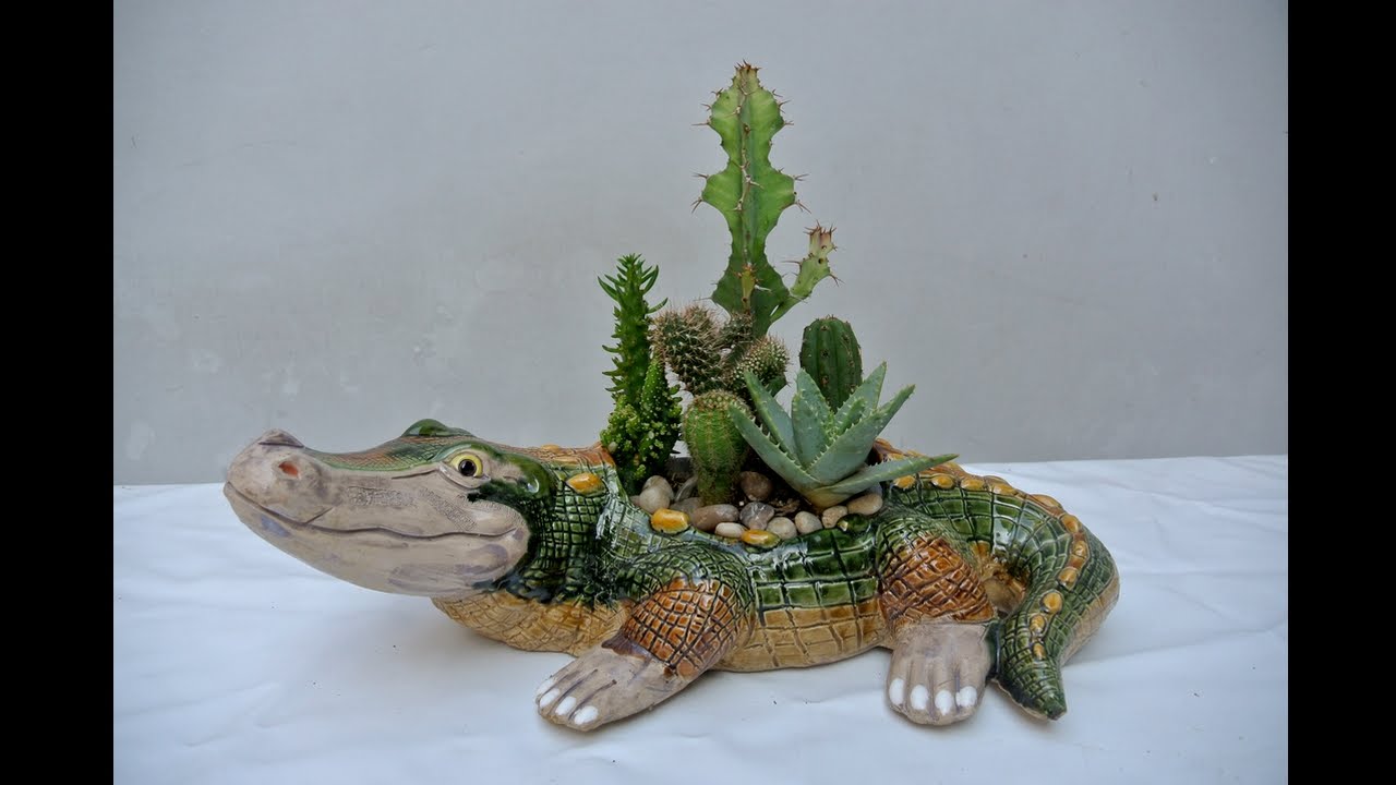 7 cactus de proteccion