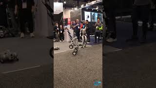 Robot Dogs and Unitree Robots #consumerelectronics #robot